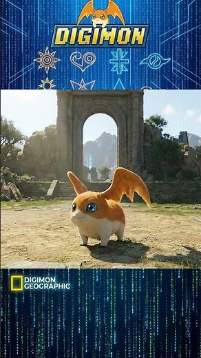 Digimon Evolution #4 Patamon - Angemon - MagnaAngemon - Seraphimon | Digivolution #4