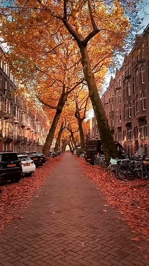 6.7K views · 111 reactions | Who else thinks summer is overrated and...