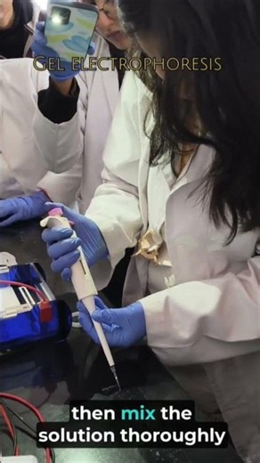 Gel electrophoresis