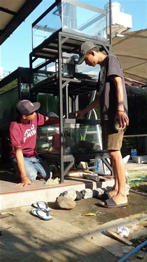 biotope aquarium setting #aquarium