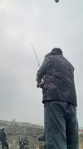 Strong fish 🐟 🐟 🐠 💪 | Efriends Tv