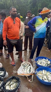 699K views · 1.8K reactions | Evening Fish Market - New Mangalore Port | Mangalore Meri Jaan | Facebook