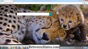 Diferença entre Bing e Google | Bing vs Google - Tecnologia 2025