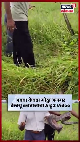 Python Rescue Video | अजगर रेस्क्यू करतानाचा अकोल्यातील Video Viral N18S