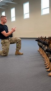 In a quiet training hall, discipline meets cuteness. 🖤 Watch as these little K9 pups follow every command with perfect focus and obedience, lying down and standing up in flawless sync. A true testament to patience, training, and the special bond between handler and puppy. Every movement is precise, every pause meaningful — the future of K9 heroes is being shaped, one command at a time. 🐶✨ : #K9Training #PuppyDiscipline #USArmyDogs #TinySoldiers #ObedientPuppies #CuteButSerious #K9Obedience #Pr