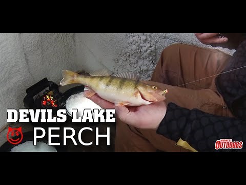 Icing Perch on Devils Lake