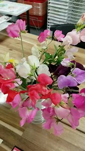 #justasecond time at Scrapbooking Made Simple! Not only do I have pretty samples to share with you, I have a lovely surprise one of our local SMS Peeps brought in today! Talk about making my heart happy! So hit play and find what you have to post for a chance to be a WINNER WINNER CHICKEN DINNER Peep! Everyone loves flowers as much as they love a $25.00 SMS Gift Card! Smiles, Stacey Jacquard Products Creative Expressions Scrapbooking Made Simple | Scrapbooking Made Simple