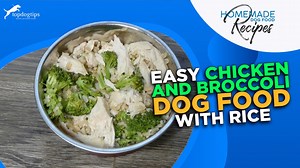 Recipe: Easy Chicken and Broccoli Dog Food with Rice
