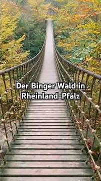 Der Binger Wald in Rheinland-Pfalz #schöneorte #rheinlandpfalz #wandern #reisetipps #ausflugsziel