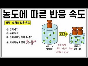 [화학실험] 농도와 온도에 따른 아이오딘 시계 반응 속도 측정하기