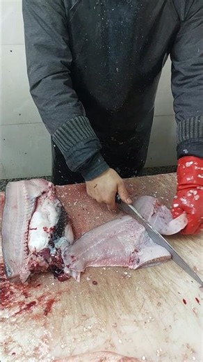 Watch This Fish Disappear Into Perfect Fillets