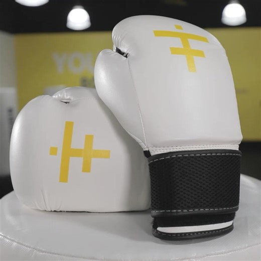 1.5K views · 255 reactions | 壘 Century Kickboxing | Wholesale Program...