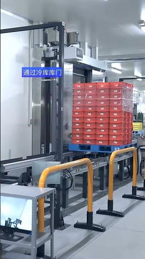 Cold Storage ASRS Explained | Food & Pharma Warehouse Automation
