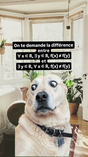 Quantificateurs et fonctions : comprendre ∀x∃y et ∃y∀x