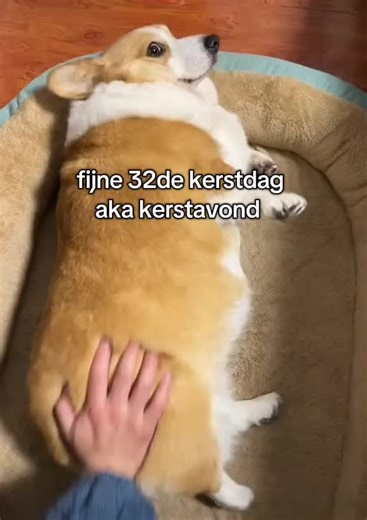 Video's van ✝️nolanpk_AE✝️ (@notificationerror8) met origineel geluid - Piethoane 🏅