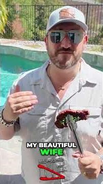 Windy Backyard Cooking? This Induction Cooktop Is a Game Changer!