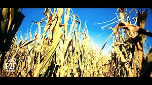 Know your food. Here's the story of Jim McGowan, a family farmer whose non-GMO corn helps us Do One Better with every PopCorners bag. | PopCorners