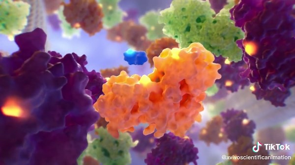 Cellular Molecular Dance Explained