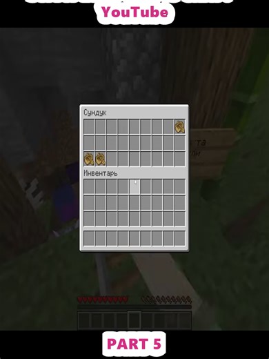 Exploring the Worst Minecraft Server Experience