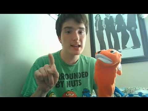 Introducing Baby Bach the Rabbit!