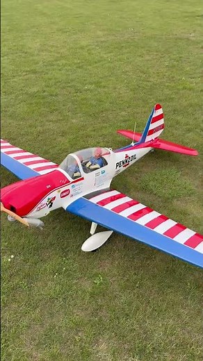 Seagull 81" Super Chipmunk (Art Scholl) 35-40cc