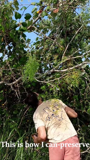 5.3K views · 180 reactions | How I preserve wild grape juice, jelly,...