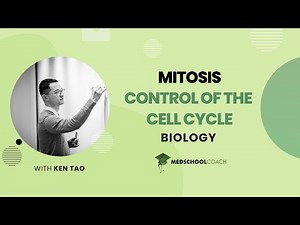 Control of the Cell Cycle