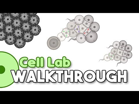 Cell Lab - How to make a Fish shaped Swimmer [Advanced Walkthrough]