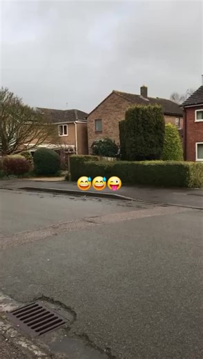 flowery. (@floweryy_097)’s videos with original sound - flowery.