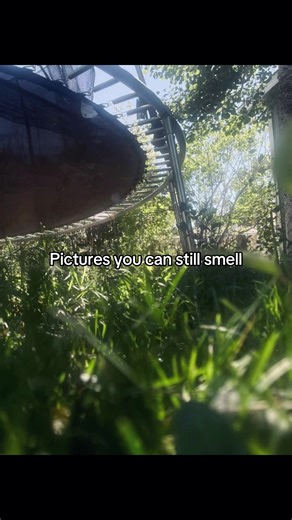 Nostalgic Smells Through Pictures from the 2000s