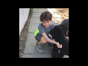 The pause challenge (embarrassing)