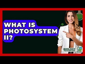 What Is Photosystem II? - Biology For Everyone
