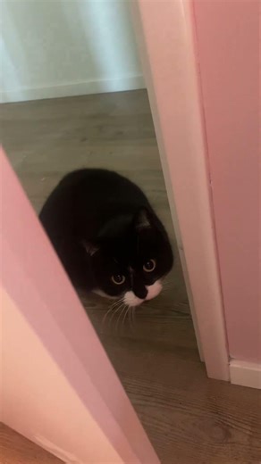 I just wanted to post something idk😭 #viralvideo #viral #fyp 🥹🥹