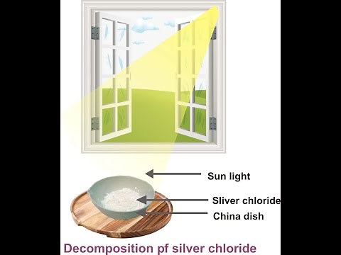 Activity 1.8 Class 10 Science NCERT