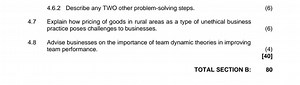 4.6.2 Describe any TWO other problem-solving steps.4.7 Explain... | Filo