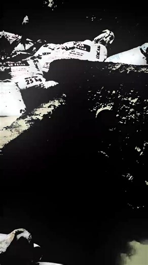 Adorable Frog Trends on TikTok