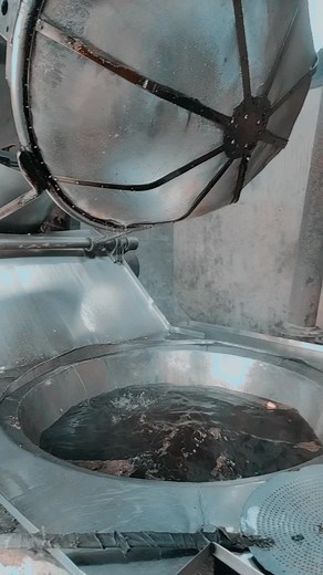 Industrial Vegetable Processing Machine in Action