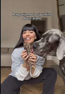 Vizio il mio cane: vita da Great Dane e dieta BARF