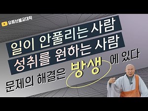 [불교] 우학스님 생활법문 (방생 공덕)