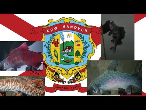 AMBARINO + WEST HANNOVER LEGENDARY FISH LOCATIONS | RDR2