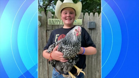 Inspiring examples of resilience 5 years after the COVID-19 outbreak