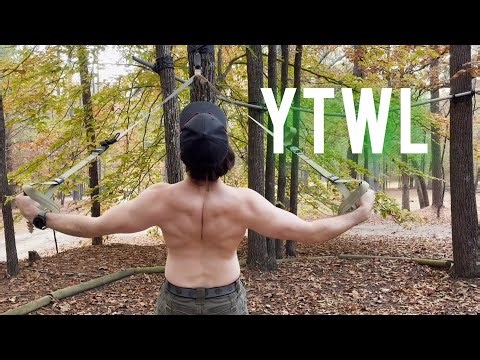 YTWLs To Build Bulletproof Shoulders