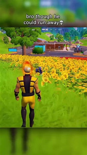 Scorpion vs Sub-Zero