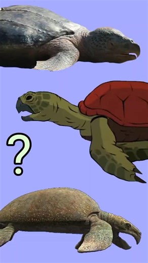 evolution of movie/series archelon #dinosaur #movie #ocean #primal #series