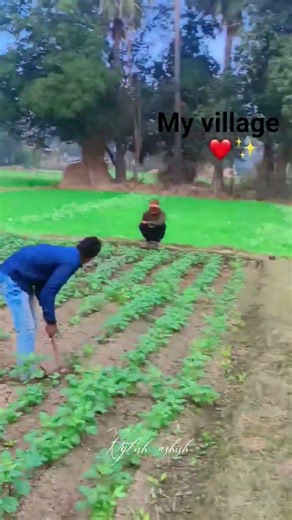 Bhojpuri Sad Song 💔Pawan Singh 💔Ud jala nindiya #shorts #video