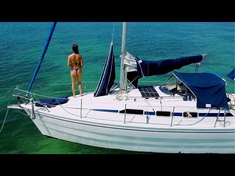 Ep. 218, 🦈 Shark Encounter!