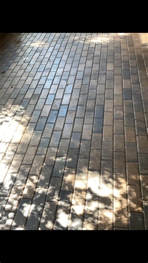 Another beautiful patio! Our customer chose Armor AR350 to protect, add a wet look, and revive their pavers! https://www.foundationarmor.com/ar350 #sealer #pavers #concretepavers. #concretesealer #concrete #stampedconcrete #fyp #patiosealer #patiodreams #wetlook #patiodesign #wetlooksealer #homeideas #patiod #patiostyle #ar350 #construction #contractor #trending #yardgoals #diyinspiration #foundationarmor #houseupdate #homeimprovement #diy #concretepavers #bestconcretesealer #trending #homerenov
