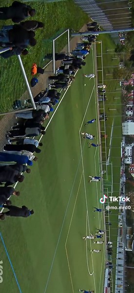 SC Freiburg: A Comprehensive Look at the Team's Journey