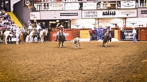 11 reactions · 32 shares | Stockyards Championship Rodeo -- The world's first indoor rodeo, every Friday and Saturday night at 8pm | Cowtown Coliseum | Facebook