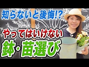 [It won't grow in that pot] A gardening professional explains how to choose the right seedlings a...